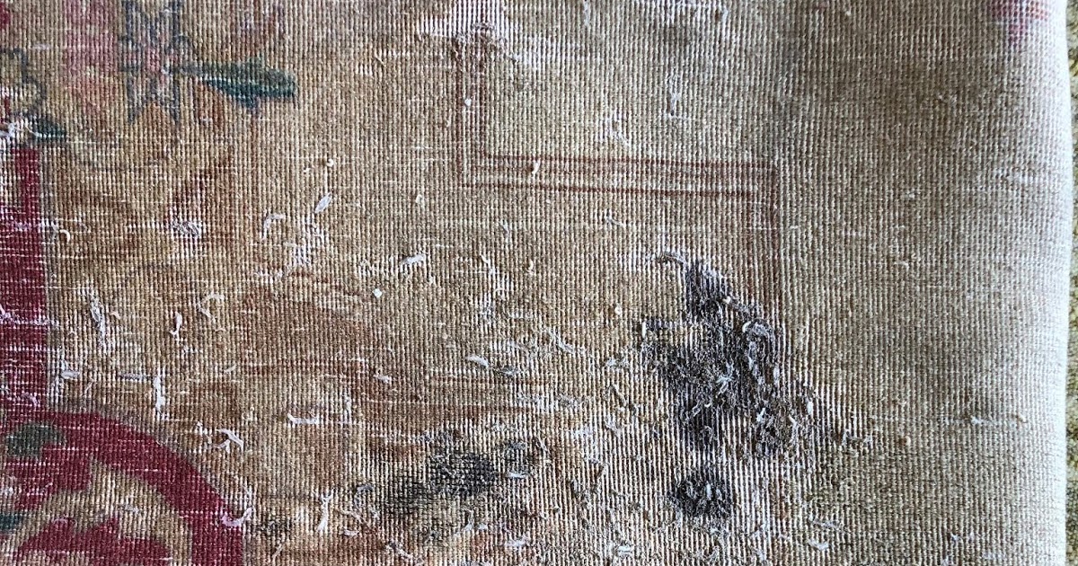 Moth Damaged Persian Rug