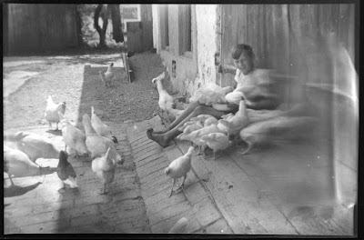 Junge mit Hühnern vor Scheune - 1930-1950