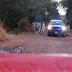 Hallan a persona muerta y encobijada a la orilla del Río Grande, en Morelia