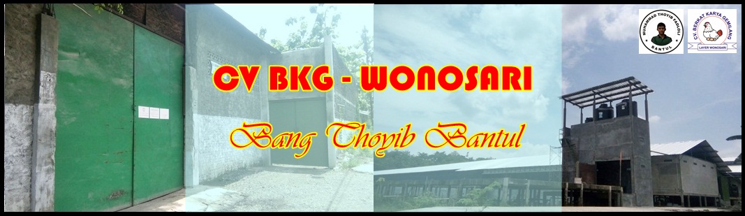 Bang Thoyib - Bantul