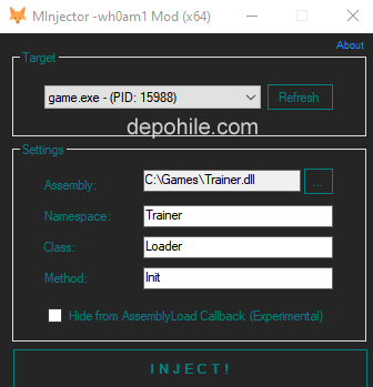 Whoam v1 Güvenli DLL Injector Programı İndir 2020