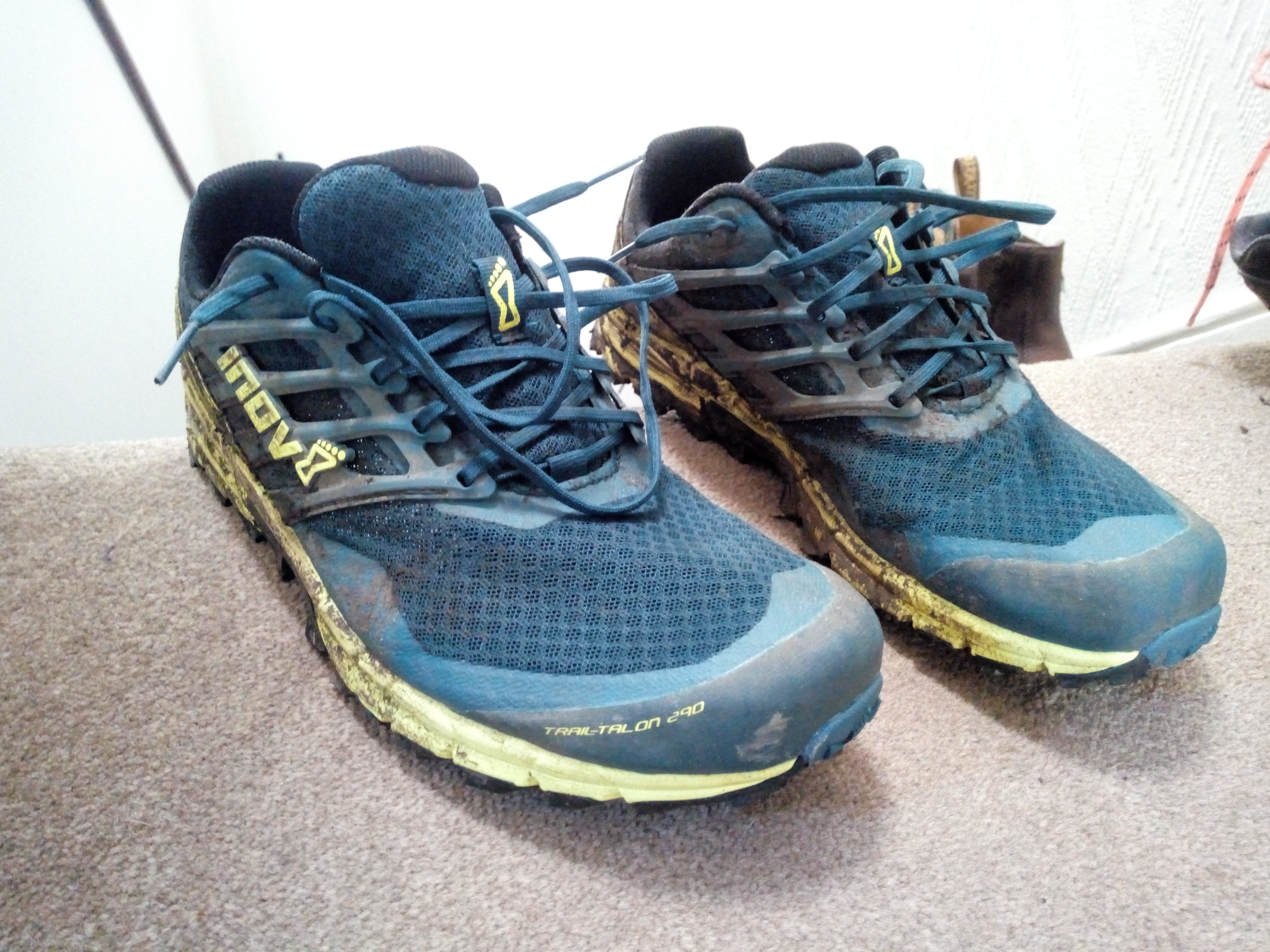 inov8 trailtalon 290 women's