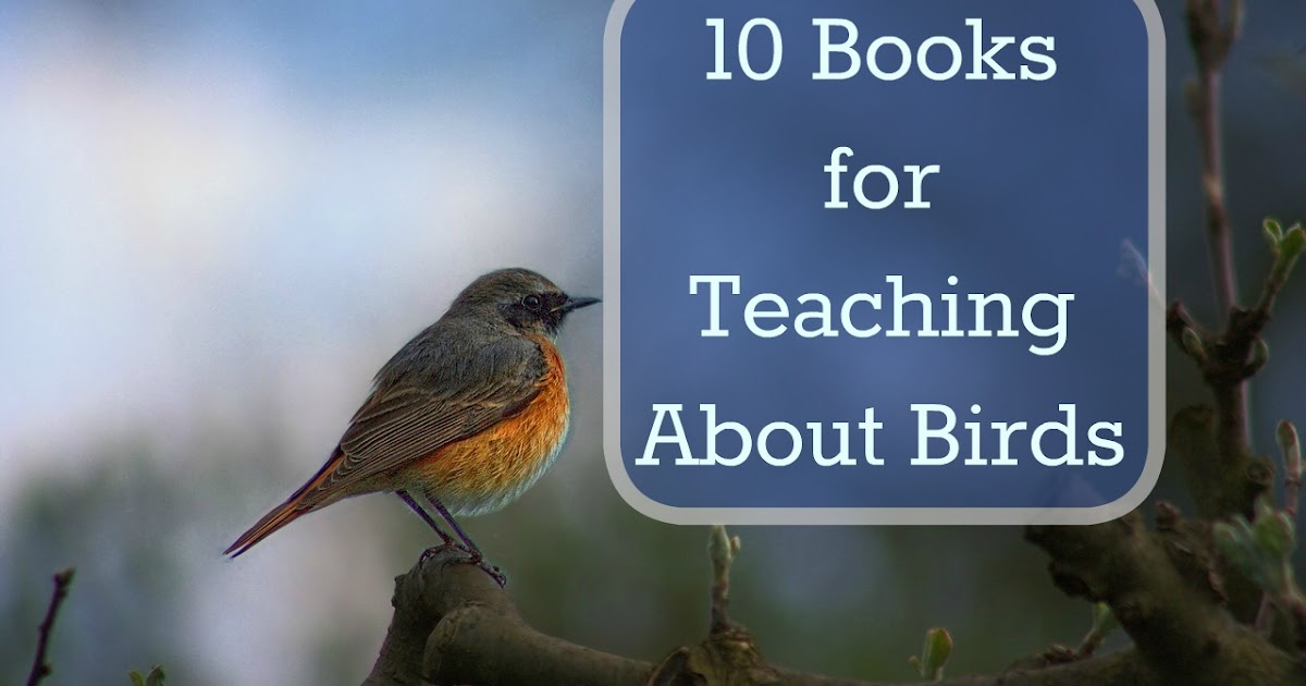 10 Books About Birds