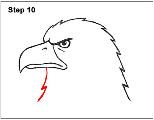 95 Sketsa Gambar Kepala Burung Elang HD