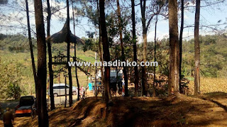 cari Wisata Hutan Pinus Haurgeulis Majalengka