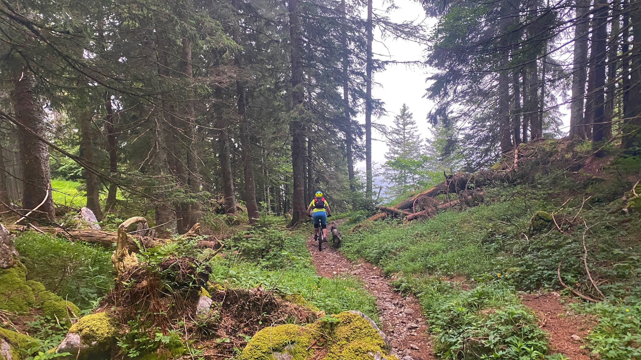 Erstens kommt es anders, und Zweitens als man denkt…