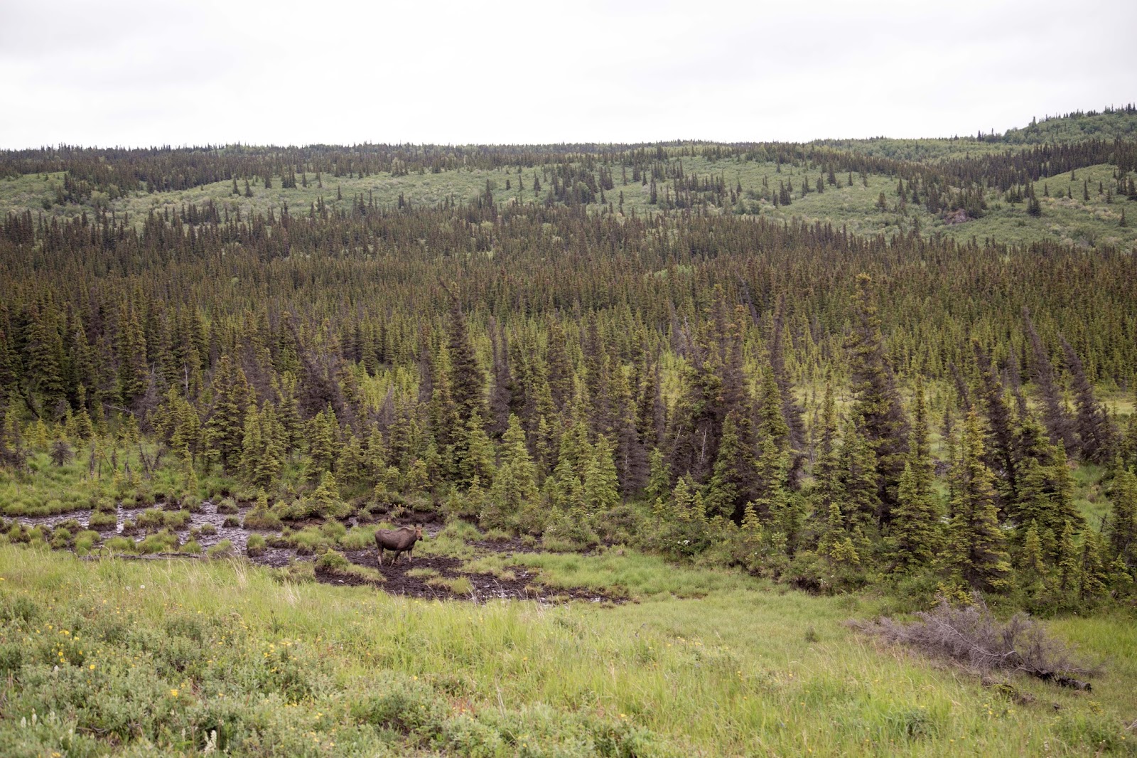 On The Road Full Time Rving Fielding Lake Paxson AK