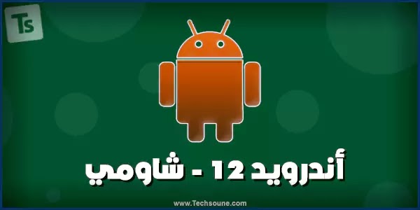 تحديث Android 12 لهواتف شاومي: كل ما تحتاج إلى معرفته
