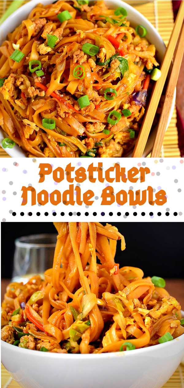 Potsticker Noodle Bоwlѕ Delicious Pin It