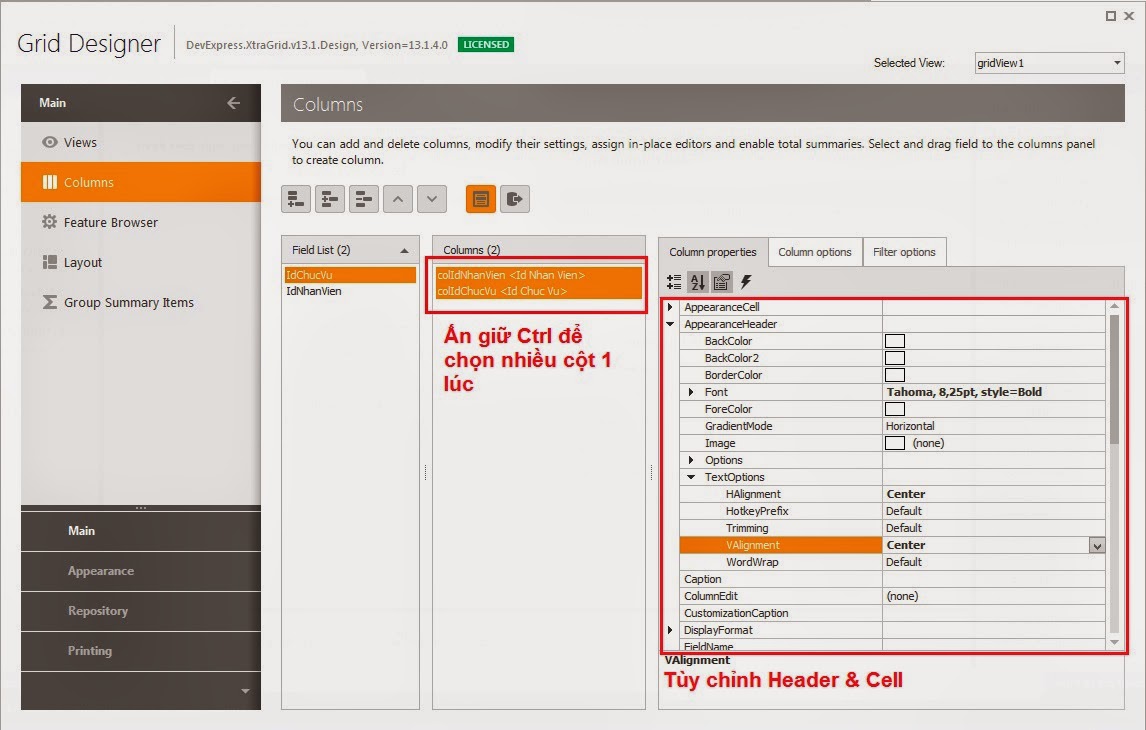 Tuy+chinh+GridView+GridControl+-+tuy+chinh+cot+header,+cell.jpg