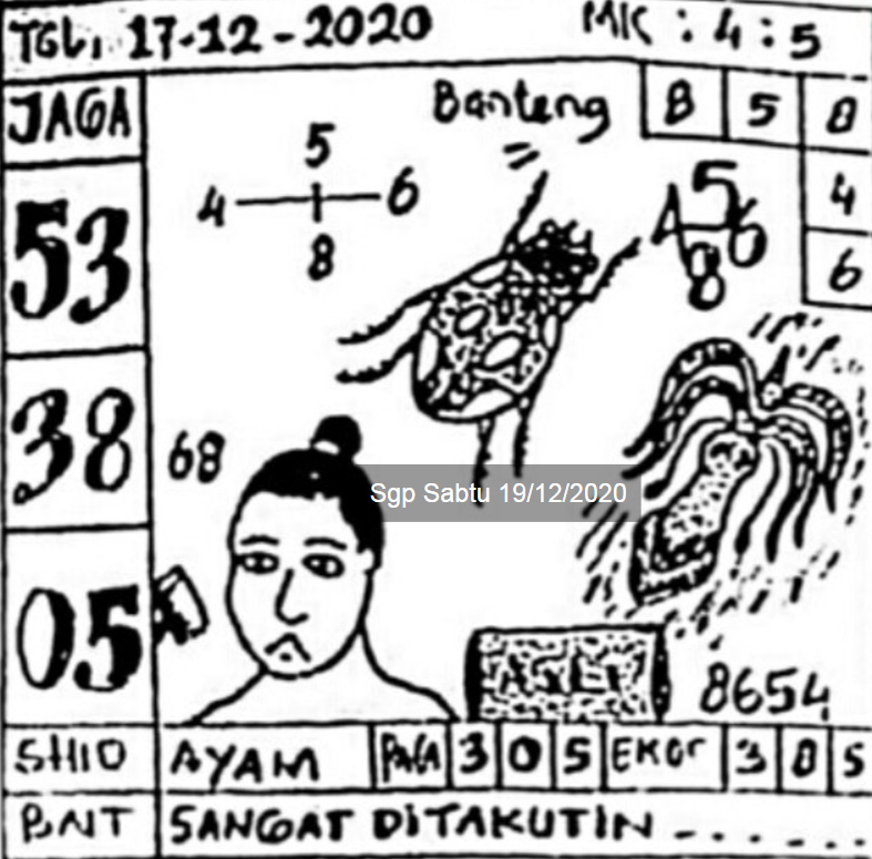 syair togel sgp sabtu 19 desember 2020