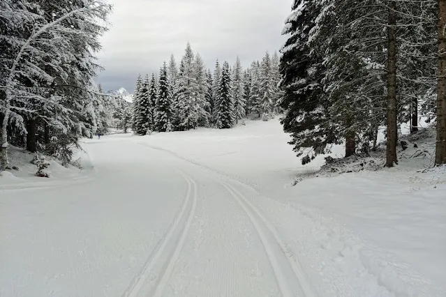 Things to do in Innsbruck for Christmas: Cross country skiing