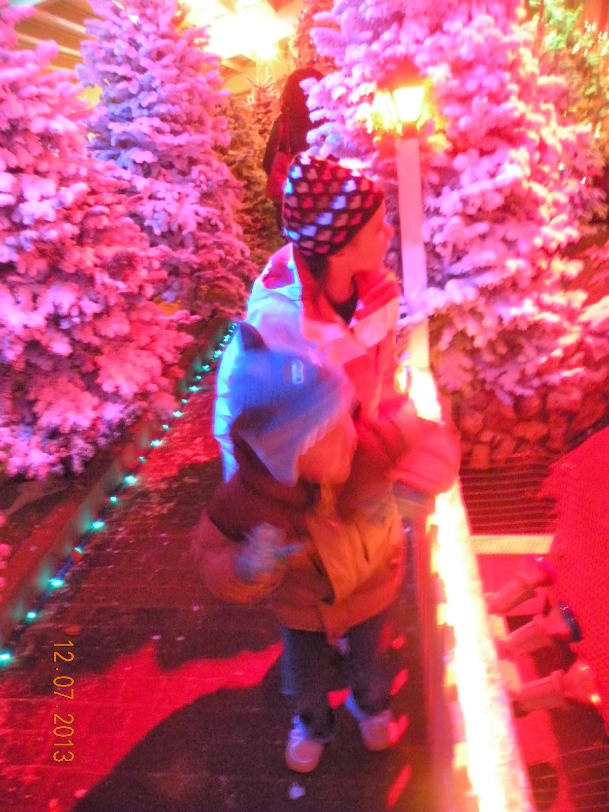 Morris Family Memories Alpenrose Christmas Land