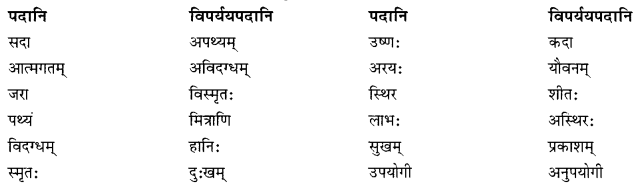 NCERT Solutions for Class 10 Sanskrit Shemushi Chapter 3 व्यायामः सर्वदा पथ्यः