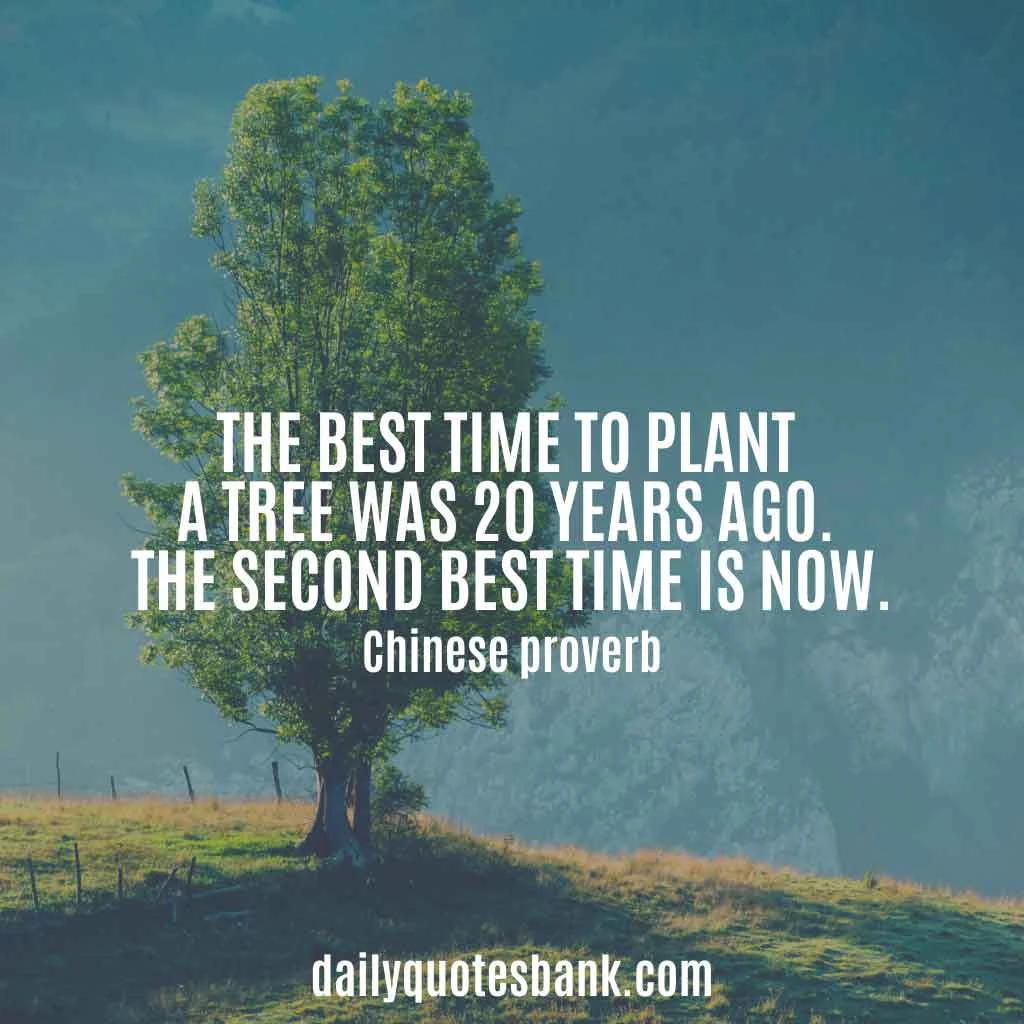 Inspirational Quotes About Planting Trees For Future Generations