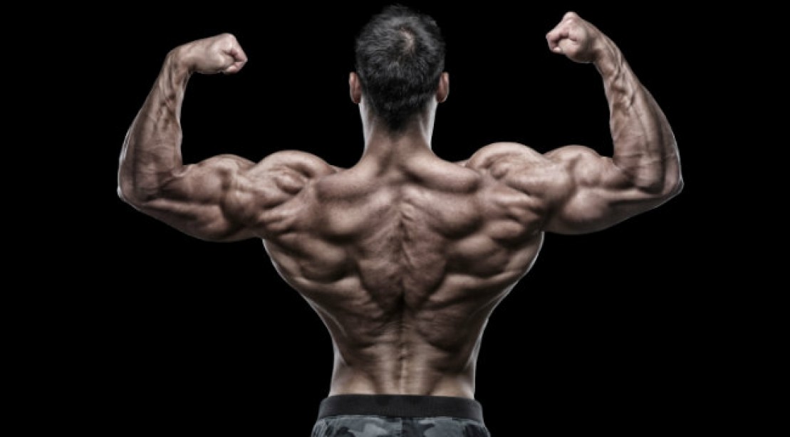 How To Build Bigger Lats Like Fitness Model how-to-build-bigger-lats-like-fitness-model