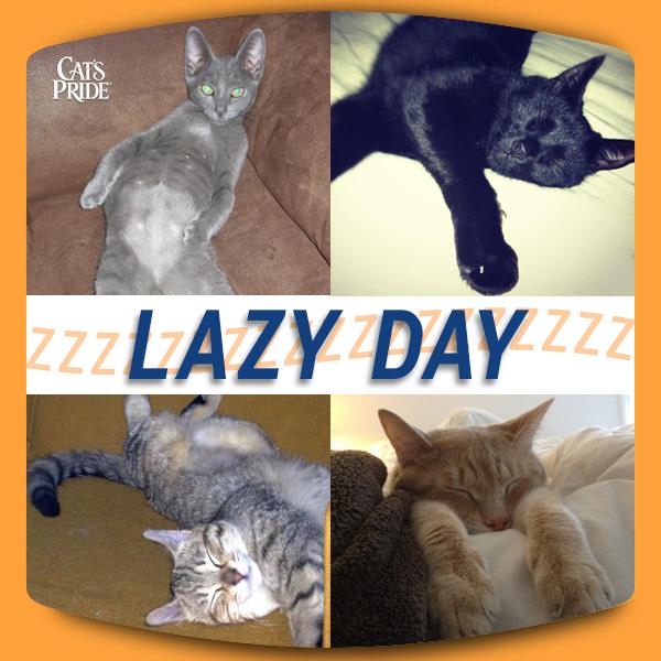 National Lazy Day National Lazy Day
