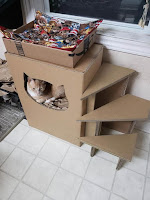 Casetas y juegos de cartón para gatos