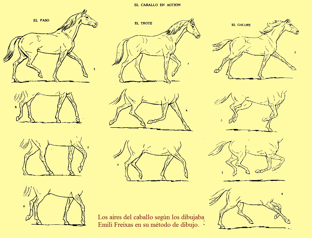 Aires Naturales del Caballo Hipica y