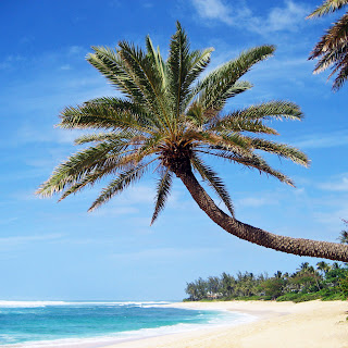 iPad Wallpapers | iPad Wallpapers HD | iPad 2 Wallpaper