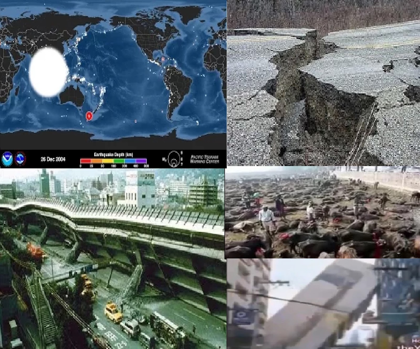 Pronósticos y terremotos 10 años certificados de la Catástrofe Global