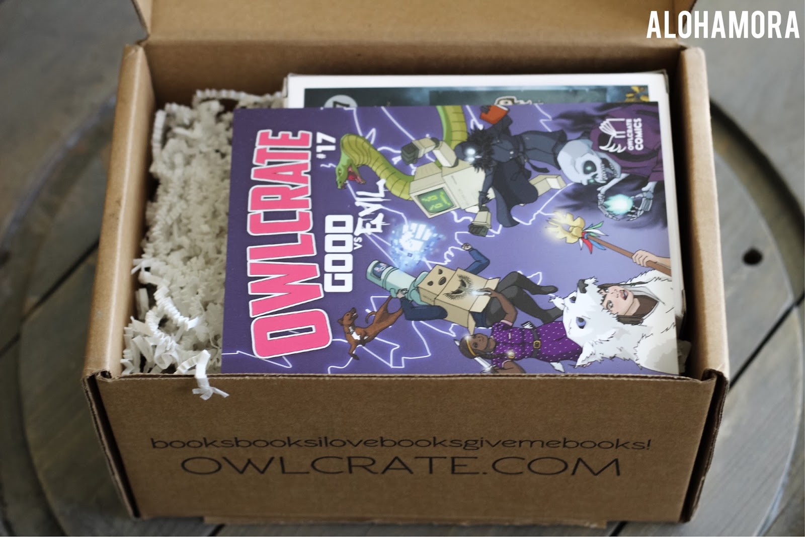 Alohamora Open a Book Owlcrate July Good vs. Evil YA Lit Subscription