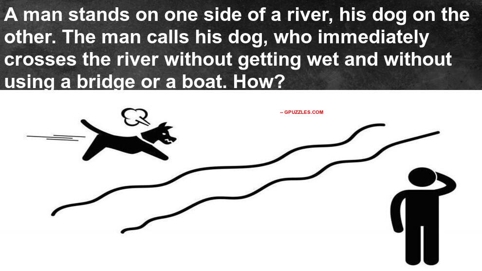 Dog Man And A River Riddle Genius Puzzles