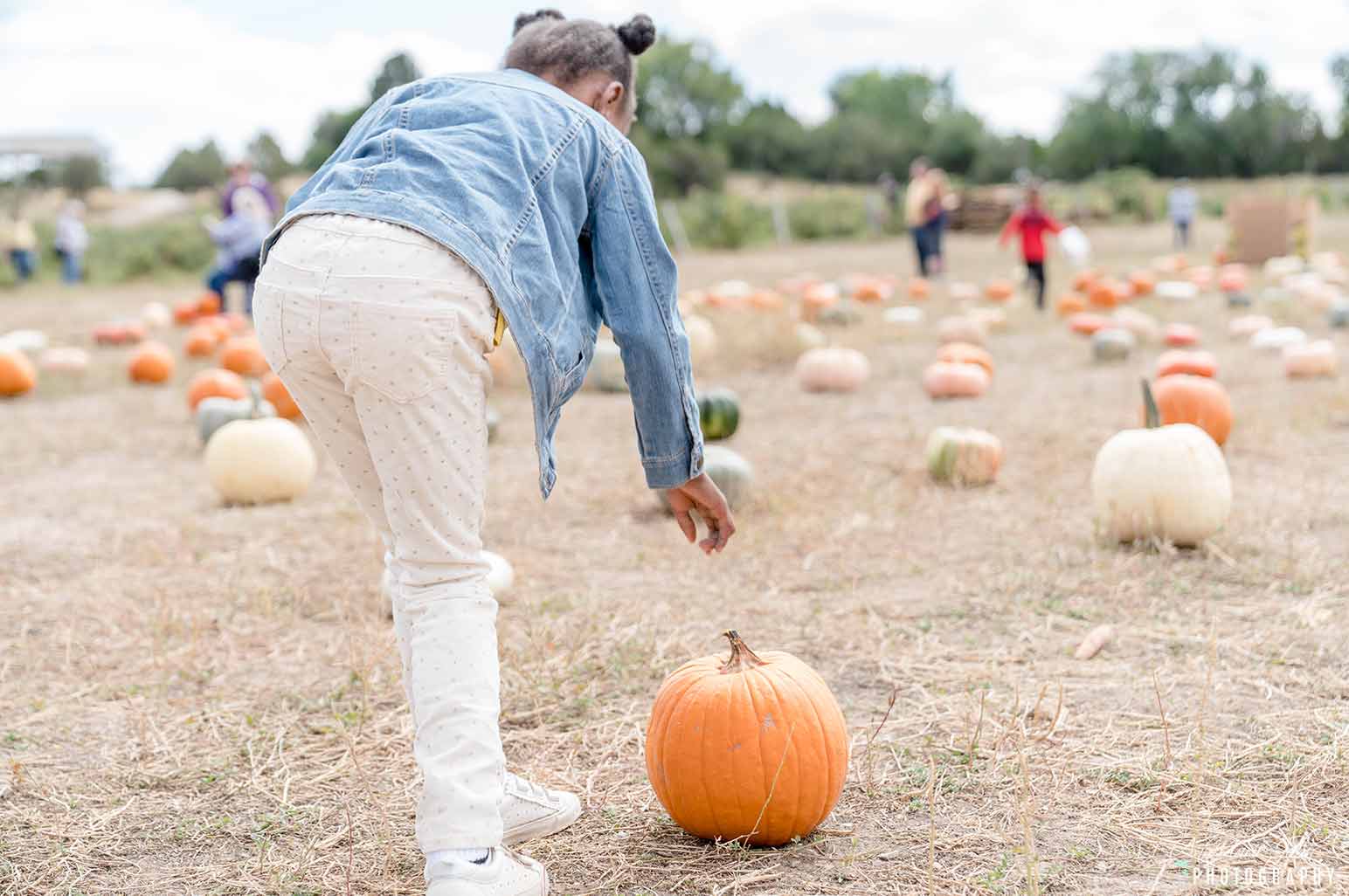 Fun Activities To Enjoy As A Family This Fall