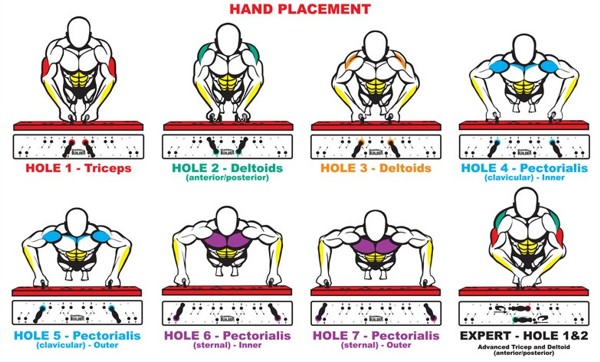 Senarai Penuh Rekod Dunia Bagi Segala Jenis Senaman Tekan Tubi