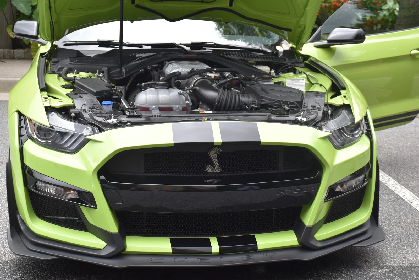 See How I Celebrated Ford Mustang's 55th Anniversary