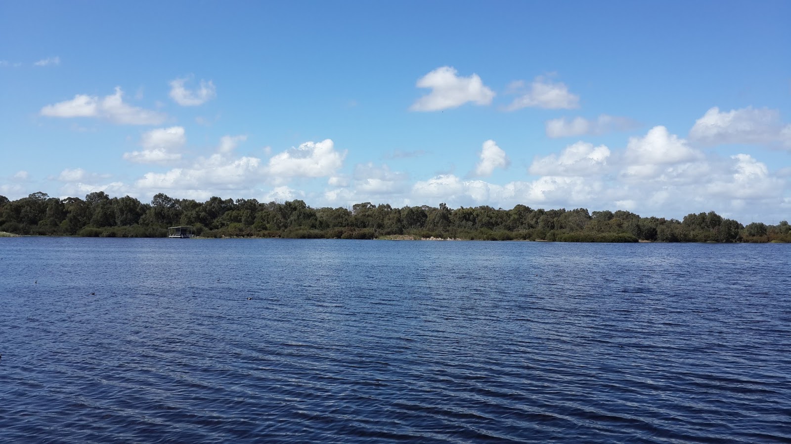 My Travel Diary Bibra Lake Reserve