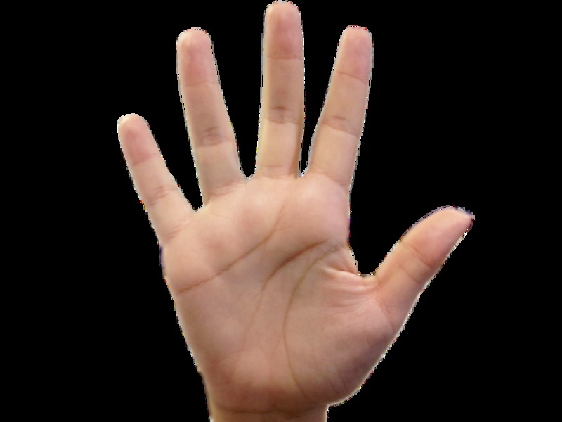 B U S S U L O D O L I V R O : A letra M na palma da Mão