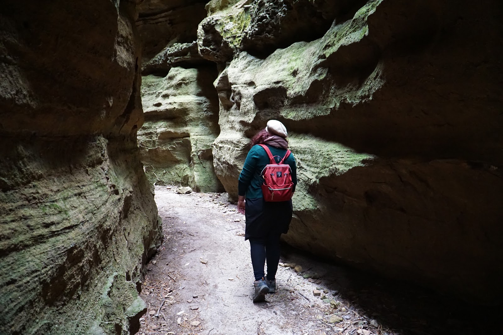 Dry Canyon (Wollemi National Park) The Long Way's Better