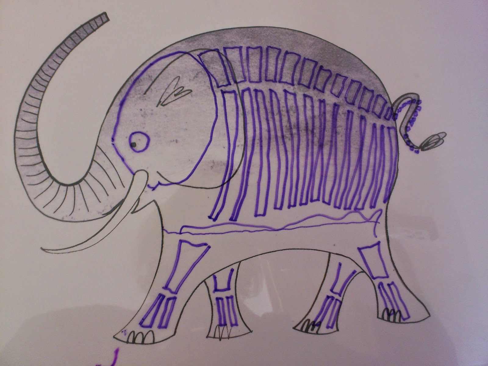 All Write How to give an elephant an Xray