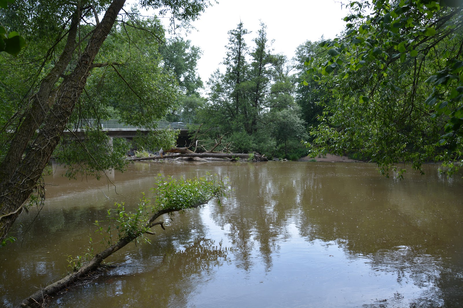 Nürnberginfo Die Rednitz