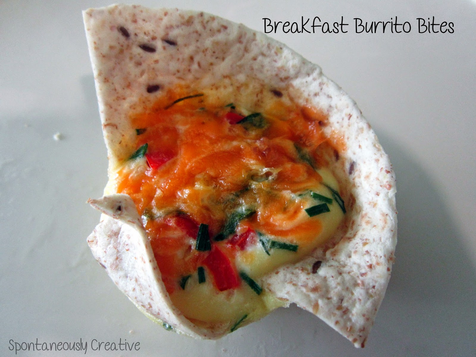 Spontaneously Creative Breakfast Burrito Bites