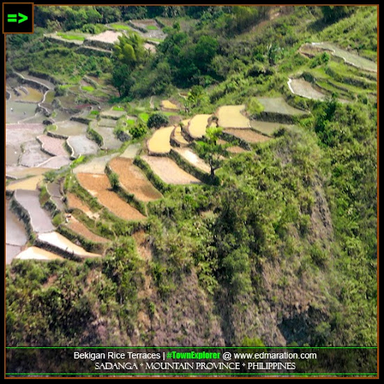 Bekigan Rice Terraces in Sadanga