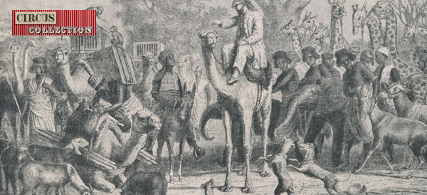 gravure illustrant les voyages des Hagenbeck pour se procurer des animaux sauvages