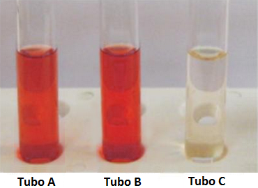 teste seliwanoff para carboidratos