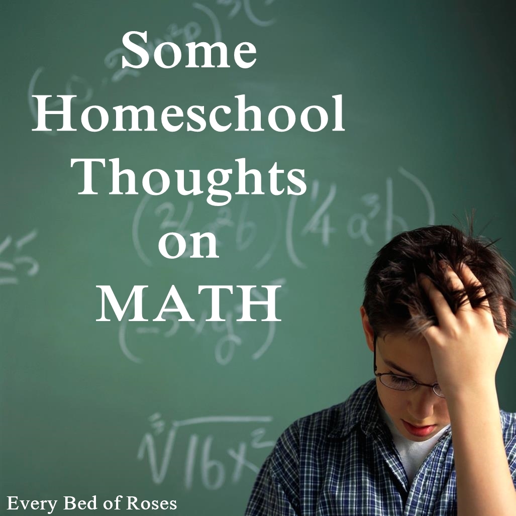 Every Bed of Roses: Math…All About Math