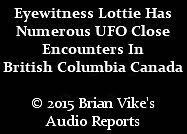 BRIAN VIKE'S AUDIO REPORTS. © 2015 BRIAN VIKE