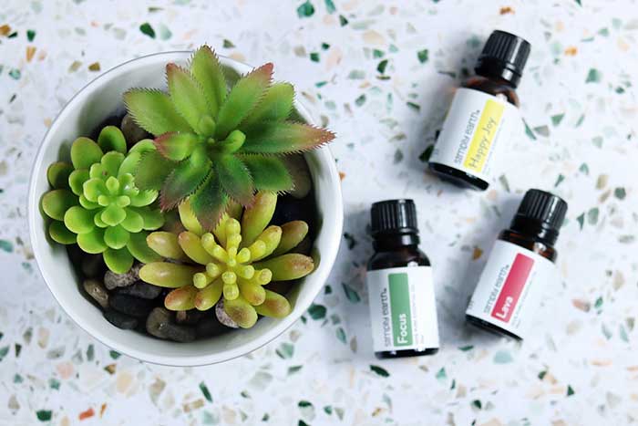 Succulent DIY Essential Oil Diffuser (Dollar Tree Craft) - Everything ...