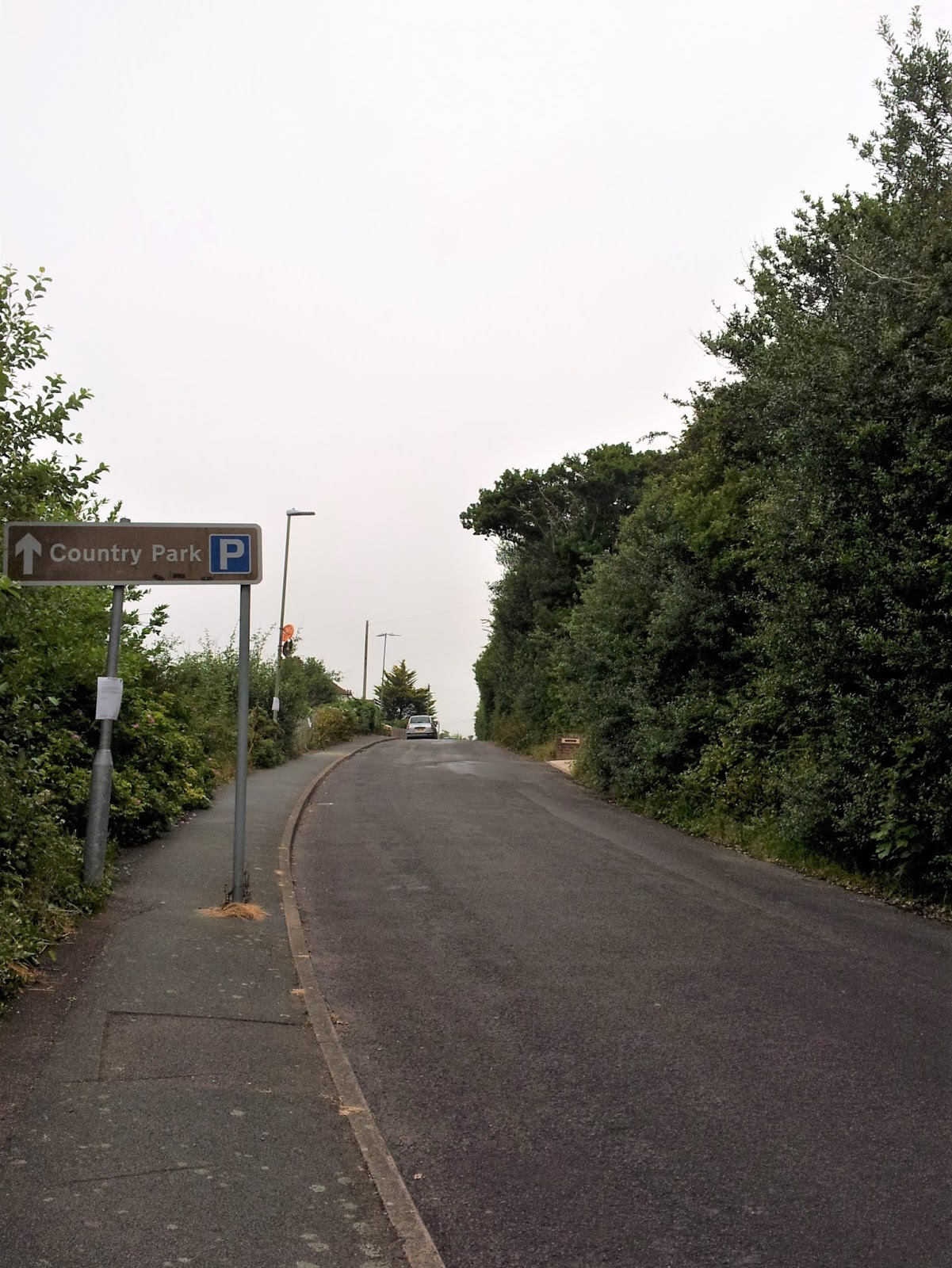 Steve on Hastings Barley Lane Today and Shear Barn Reopening Soon...
