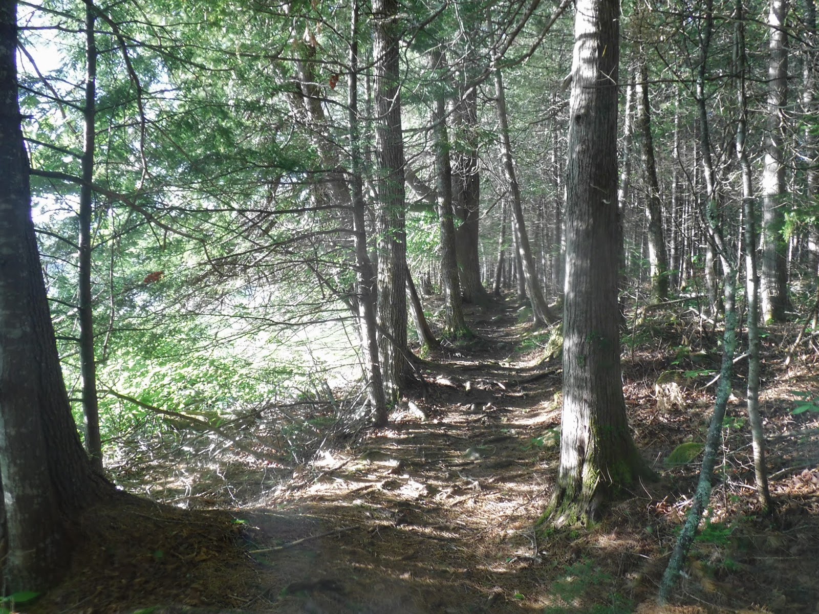 Tumbledown Mountain and Mt Blue State Park (Weld)