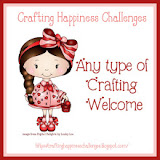 Any craft Challenge Blog