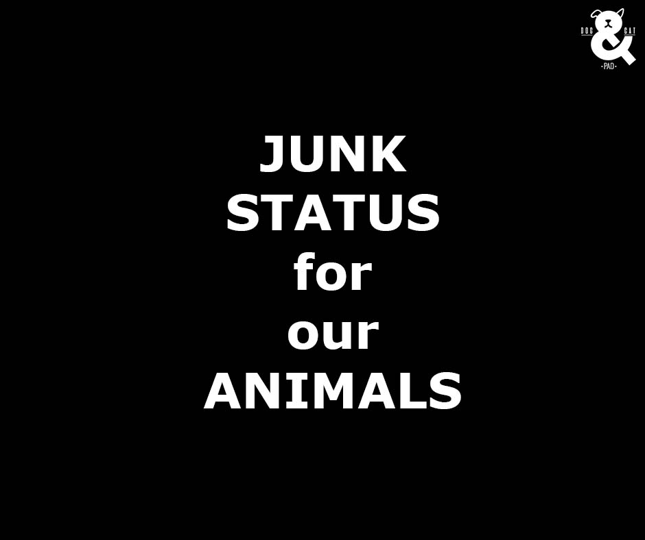 Dog & Cat Pad JUNK STATUS FOR OUR ANIMALS
