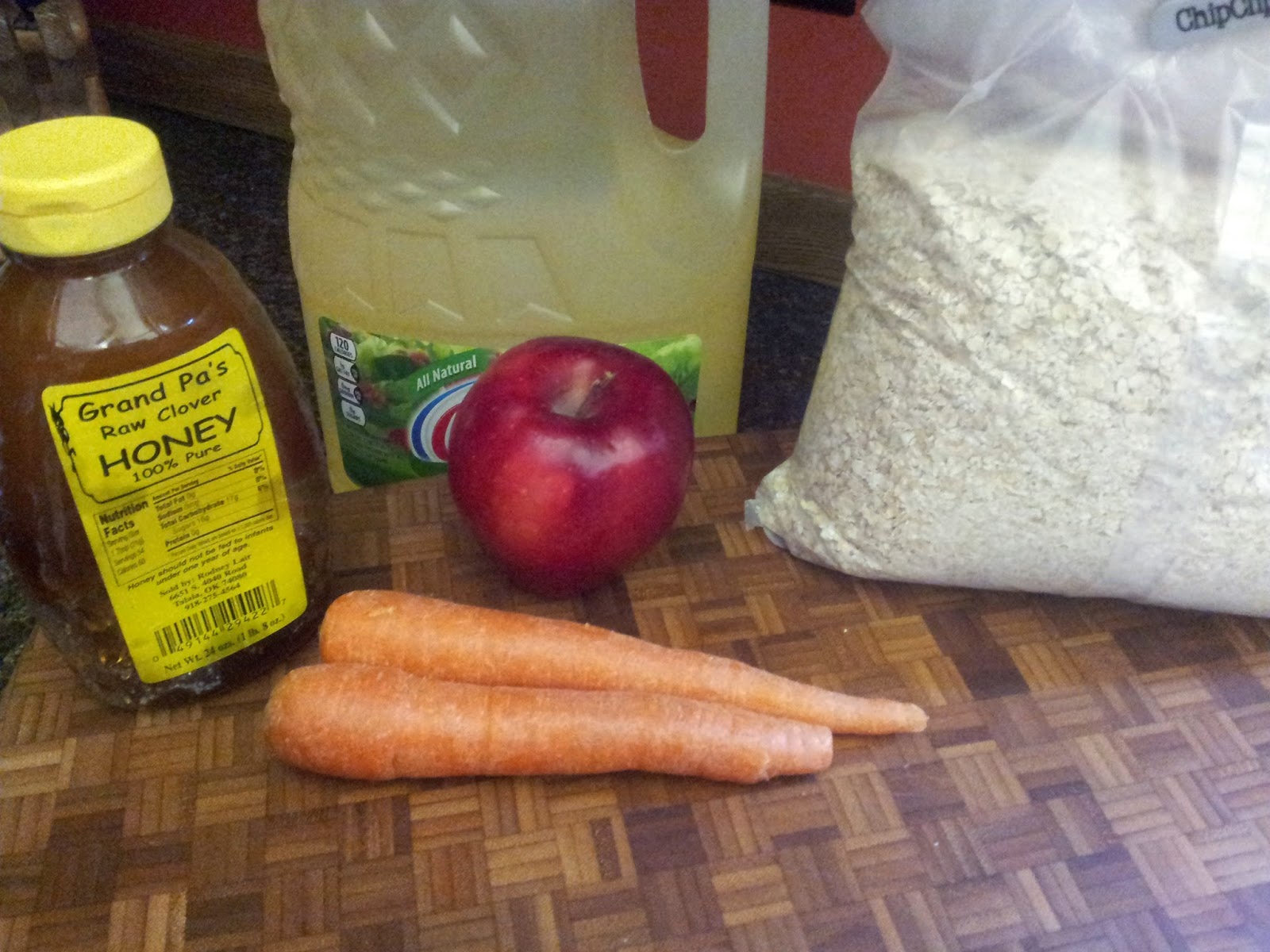 Homemade Horse Treats Hand Gallop