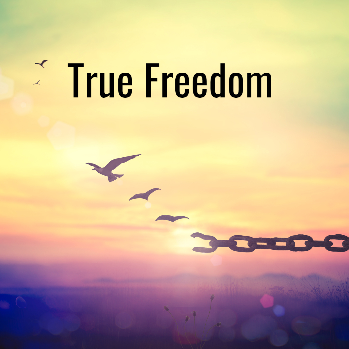 In Touch with Reality True Freedom