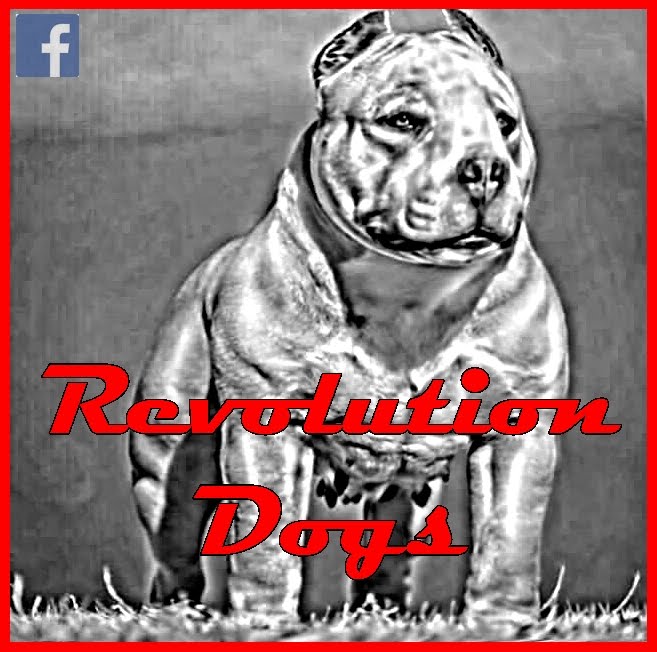 Revolution Dogs
