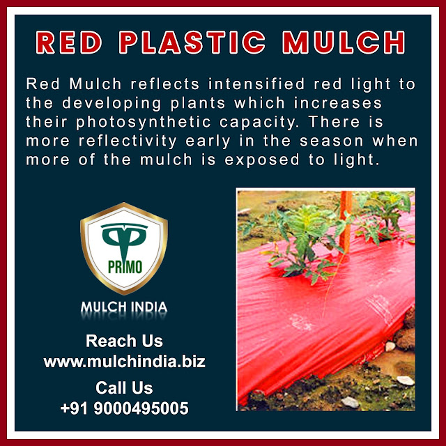 MulchIndia Red Plastic Mulch Mulch India Call+𝟵𝟭 𝟵𝟬𝟬𝟬𝟰𝟵𝟱𝟬𝟬𝟱 www
